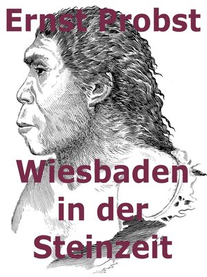 cover image of Wiesbaden in der Steinzeit